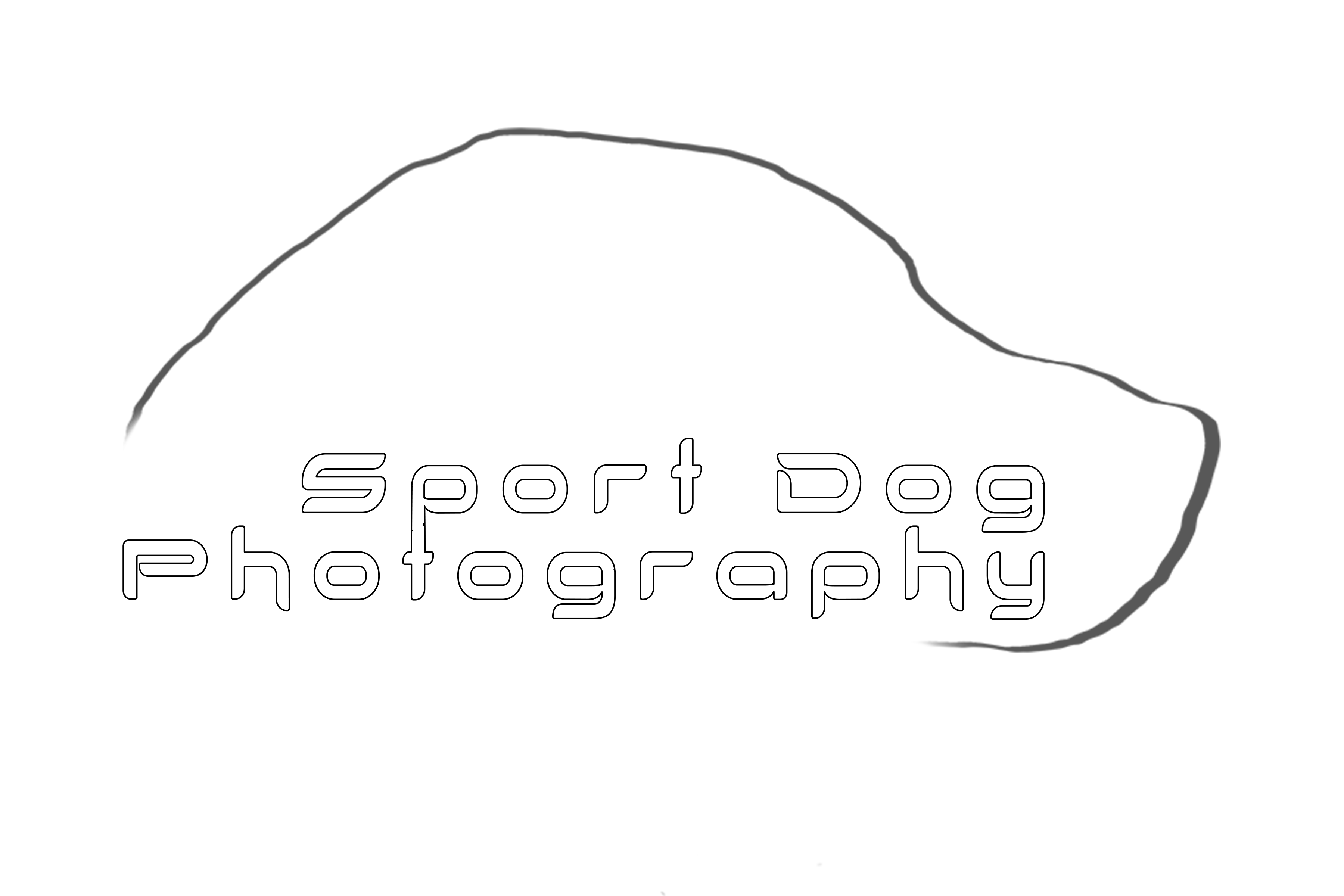 Sport Dog Photo Galleries
