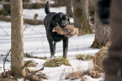 RGS Pheasant Hunt 2019-101