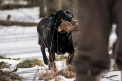 RGS Pheasant Hunt 2019-103