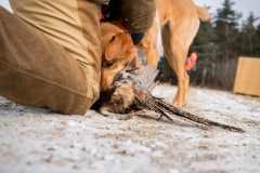 RGS Pheasant Hunt 2019-31
