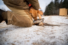 RGS Pheasant Hunt 2019-32