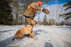 RGS Pheasant Hunt 2019-52