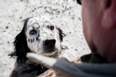 RGS Pheasant Hunt 2019-78