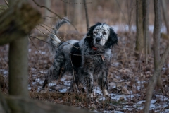 RGS Pheasant Hunt 2019-84